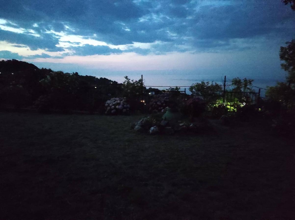 Diogenis Hotel Tsagkarada Dış mekan fotoğraf