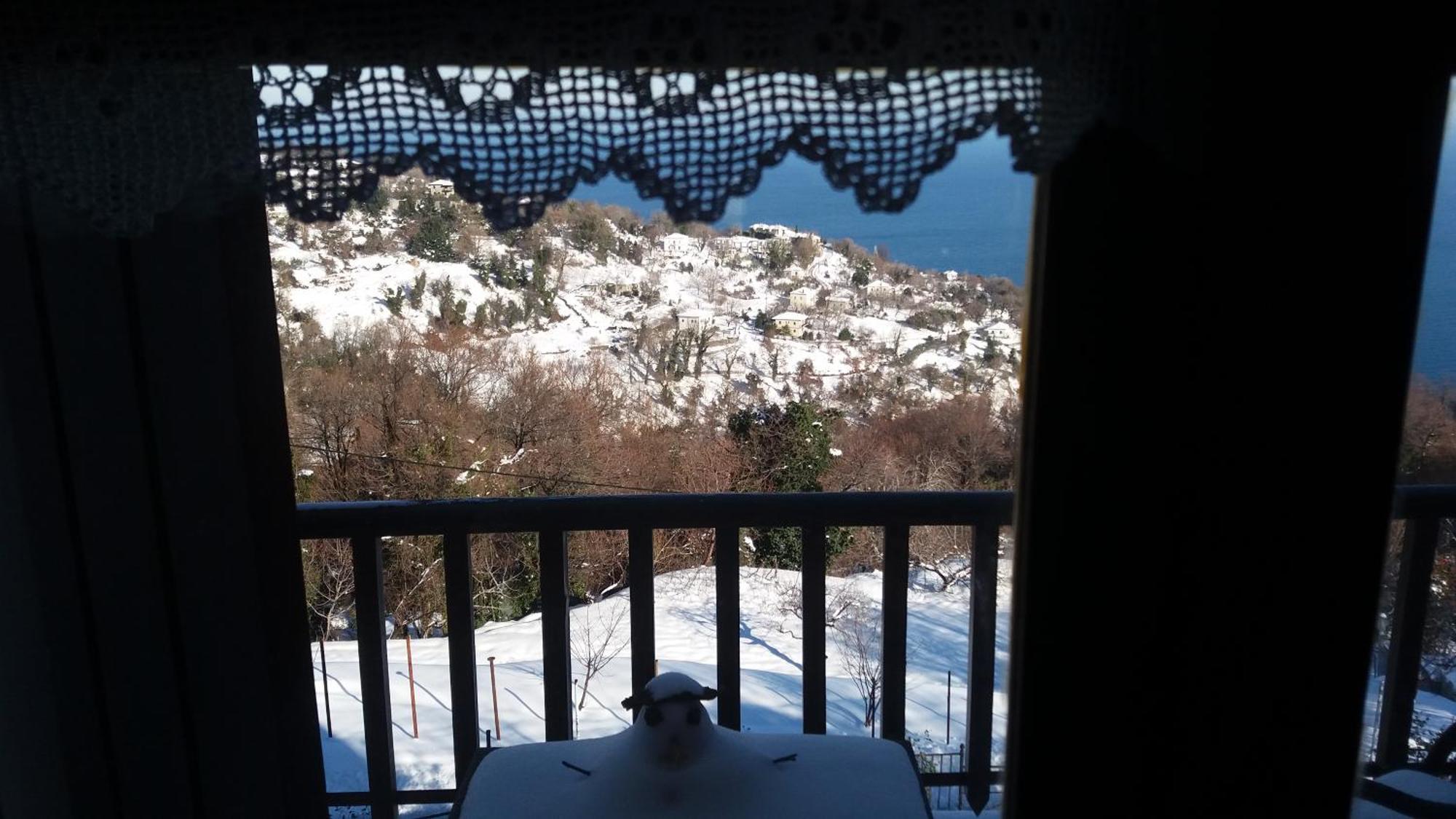 Diogenis Hotel Tsagkarada Dış mekan fotoğraf