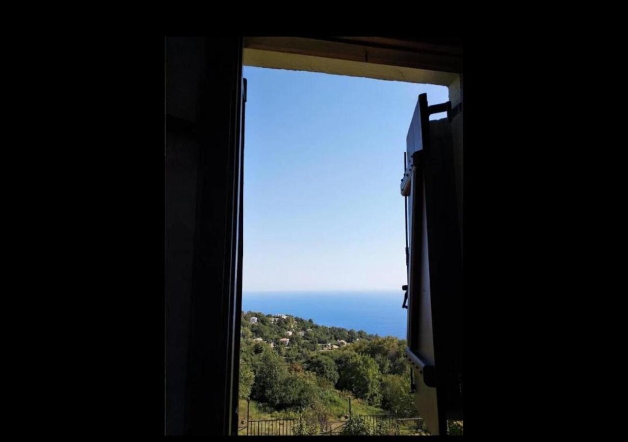 Diogenis Hotel Tsagkarada Dış mekan fotoğraf