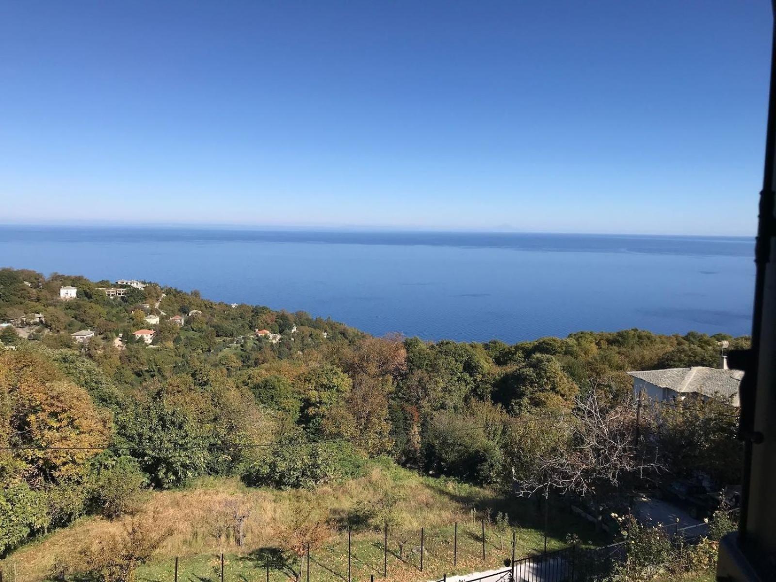 Diogenis Hotel Tsagkarada Dış mekan fotoğraf