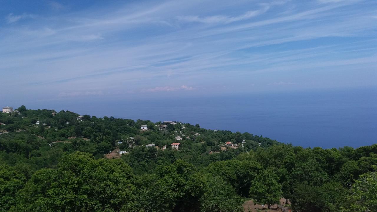 Diogenis Hotel Tsagkarada Dış mekan fotoğraf