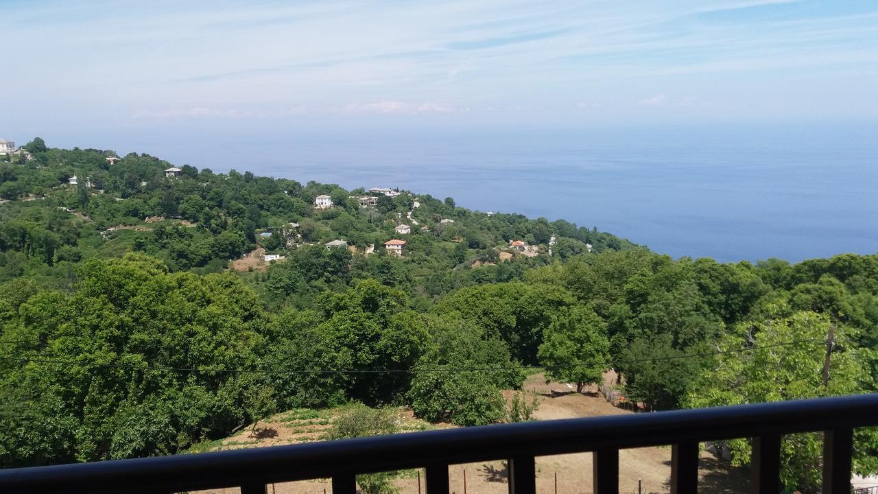 Diogenis Hotel Tsagkarada Dış mekan fotoğraf