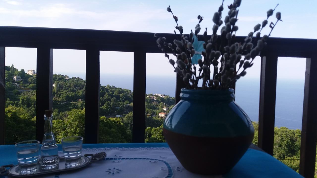 Diogenis Hotel Tsagkarada Dış mekan fotoğraf