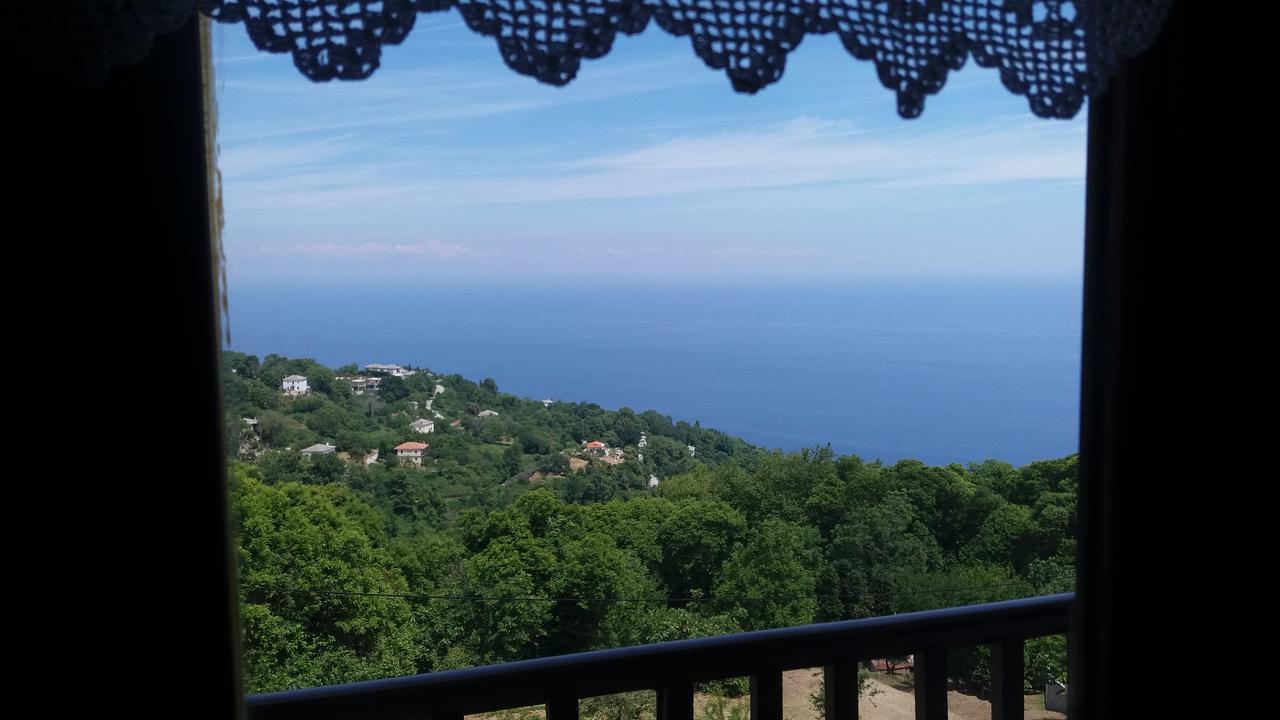 Diogenis Hotel Tsagkarada Dış mekan fotoğraf