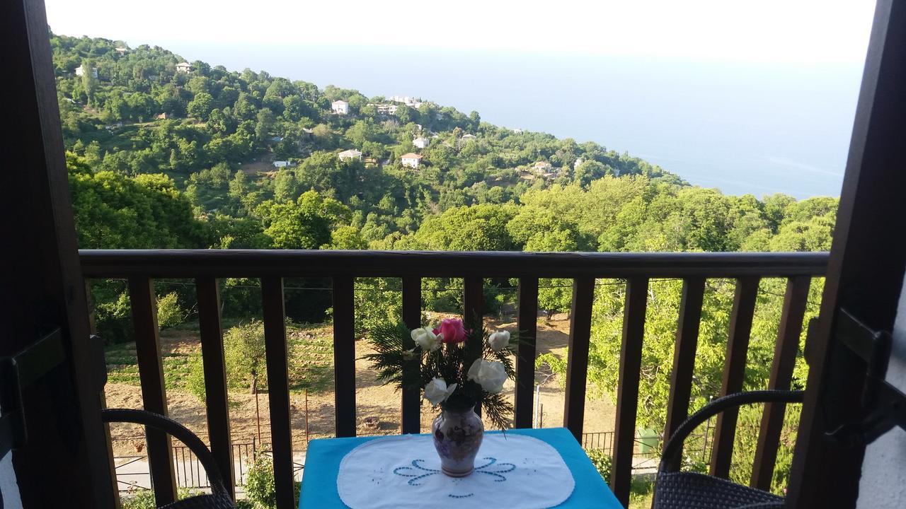 Diogenis Hotel Tsagkarada Dış mekan fotoğraf
