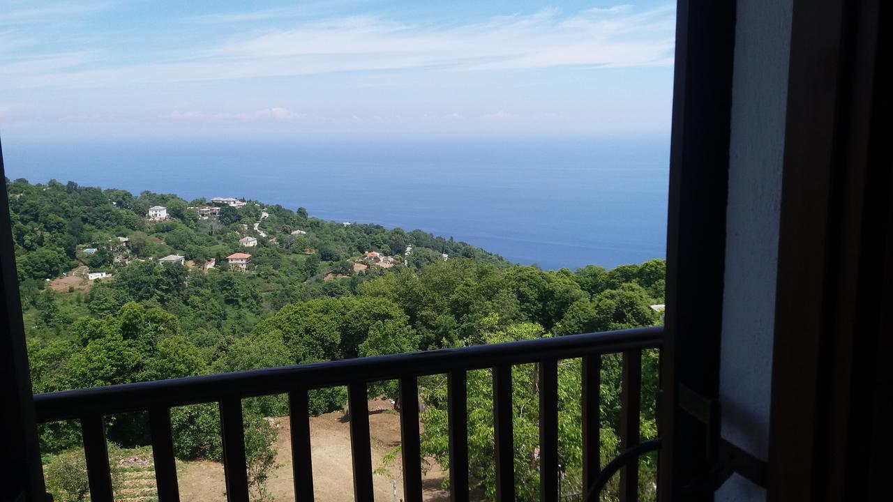 Diogenis Hotel Tsagkarada Dış mekan fotoğraf
