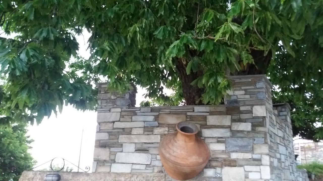 Diogenis Hotel Tsagkarada Dış mekan fotoğraf