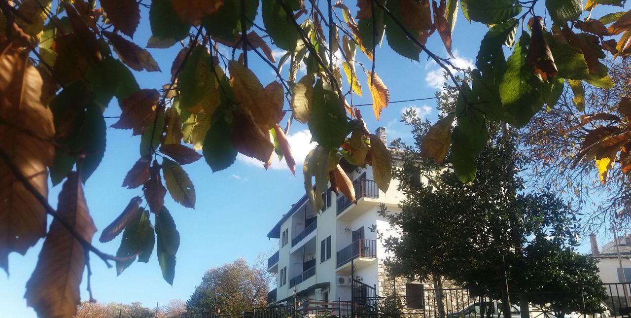 Diogenis Hotel Tsagkarada Dış mekan fotoğraf